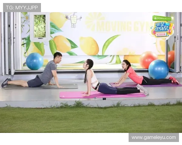 《全新体育综艺节目上线，明星选手挑战极限运动》