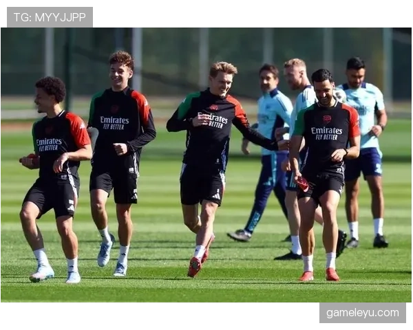 国家队关键战:厄德高在国际赛场的表现 国家队关键战:厄德高在国际赛场的表现