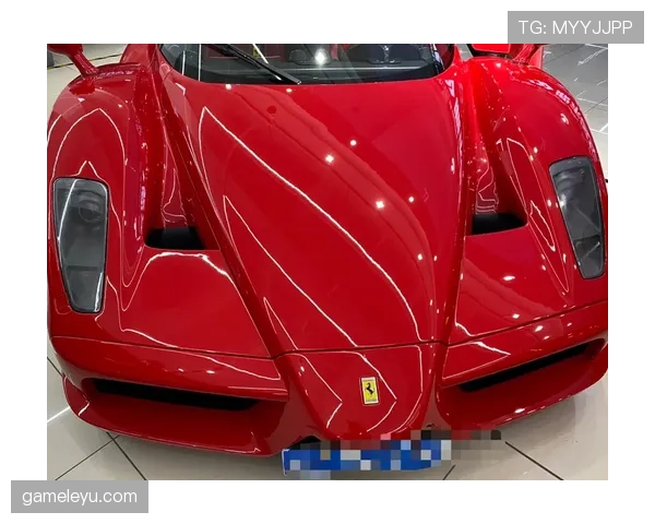 恩佐·费尔南德斯训练完回家路上顺手买了辆法拉利？