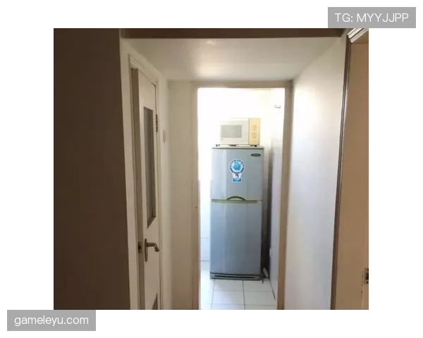 余依婷又发动态，厨房那台冰箱估计能买套房